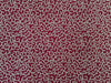 Burgundy White Dotted Scroll Ankara Cotton Fabric, Elegant Apparel Quilting Yardage
